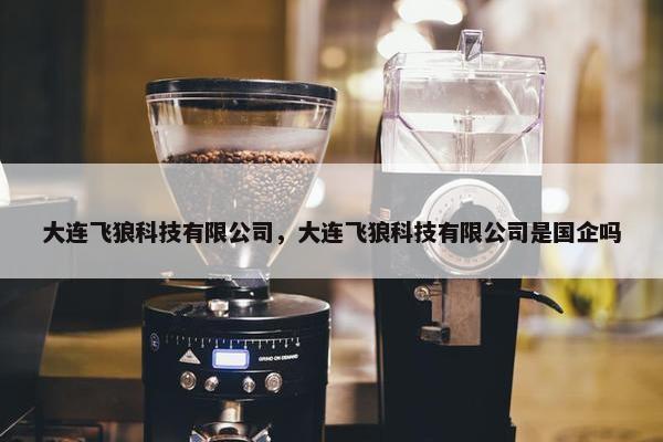 大连飞狼科技有限公司，大连飞狼科技有限公司是国企吗