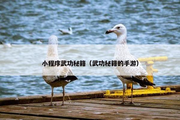 小程序武功秘籍（武功秘籍的手游）