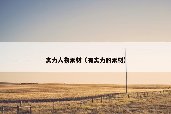 实力人物素材（有实力的素材）