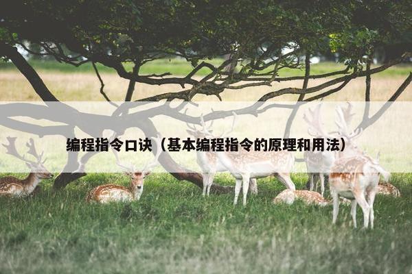 编程指令口诀（基本编程指令的原理和用法）