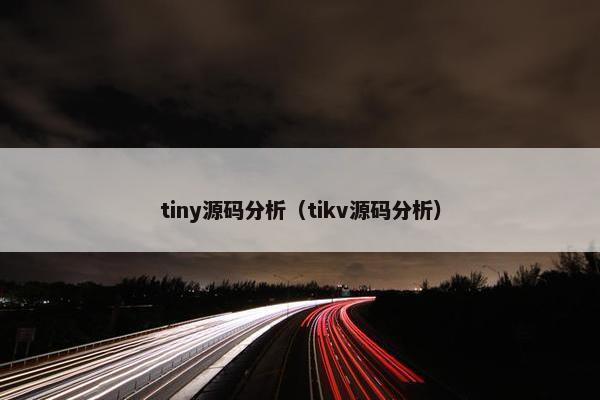 tiny源码分析（tikv源码分析）