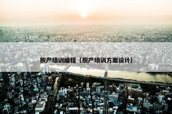 脱产培训编程（脱产培训方案设计）