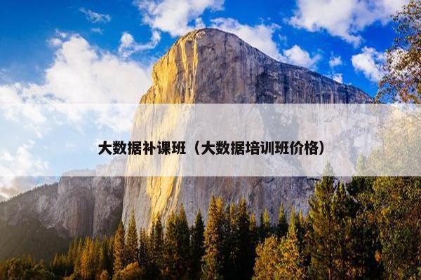 大数据补课班（大数据培训班价格）