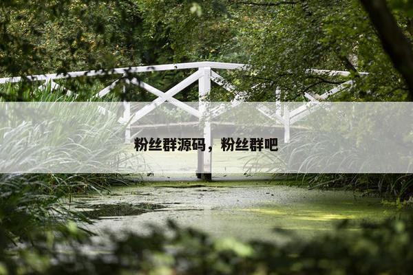 粉丝群源码，粉丝群吧