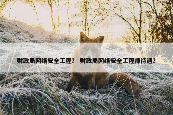 财政局网络安全工程？ 财政局网络安全工程师待遇？