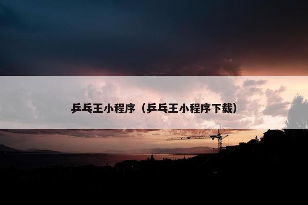 乒乓王小程序（乒乓王小程序下载）