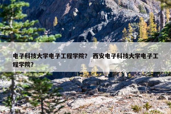 电子科技大学电子工程学院？ 西安电子科技大学电子工程学院？