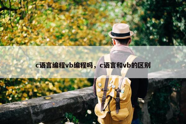 c语言编程vb编程吗，c语言和vb的区别