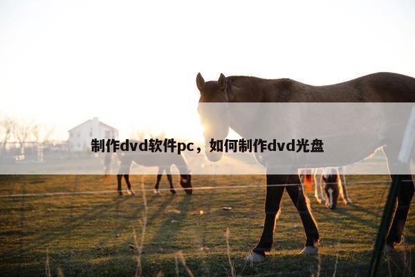 制作dvd软件pc，如何制作dvd光盘