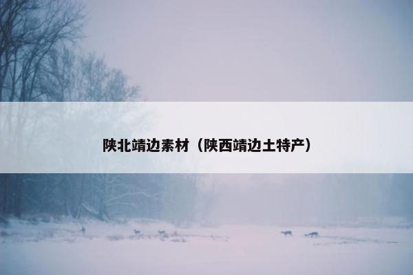 陕北靖边素材（陕西靖边土特产）