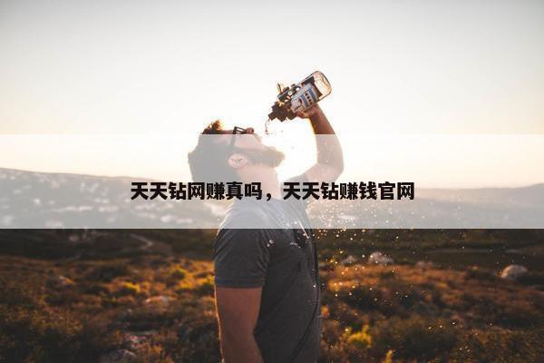 天天钻网赚真吗，天天钻赚钱官网