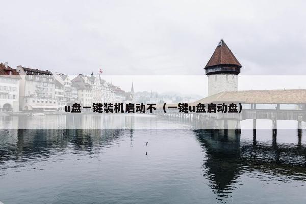 u盘一键装机启动不（一键u盘启动盘）