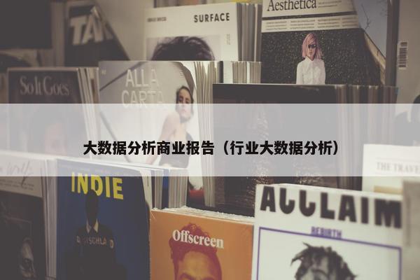 大数据分析商业报告（行业大数据分析）