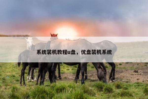 系统装机教程u盘，优盘装机系统