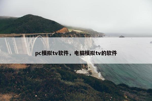 pc模拟tv软件，电脑模拟tv的软件