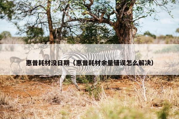 惠普耗材没日期（惠普耗材余量错误怎么解决）