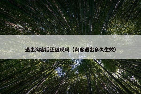 退出淘客后还返现吗（淘客退出多久生效）