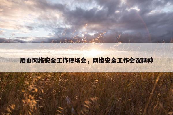 眉山网络安全工作现场会，网络安全工作会议精神