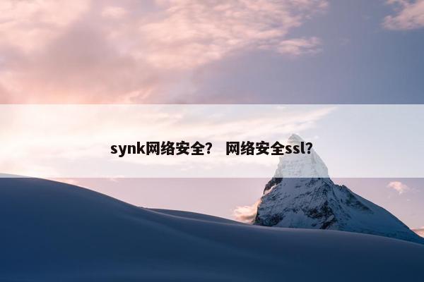 synk网络安全？ 网络安全ssl？