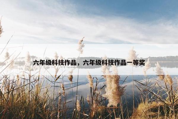 六年级科技作品，六年级科技作品一等奖