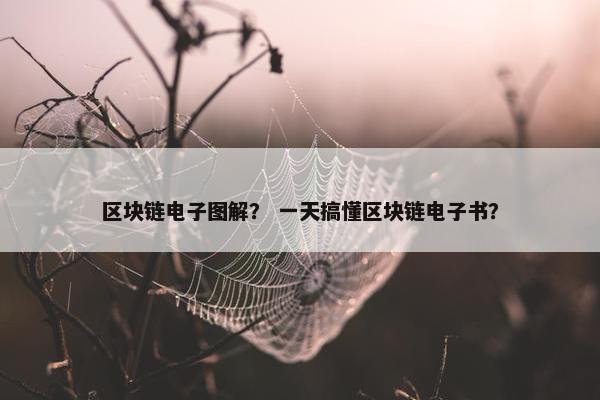 区块链电子图解？ 一天搞懂区块链电子书？