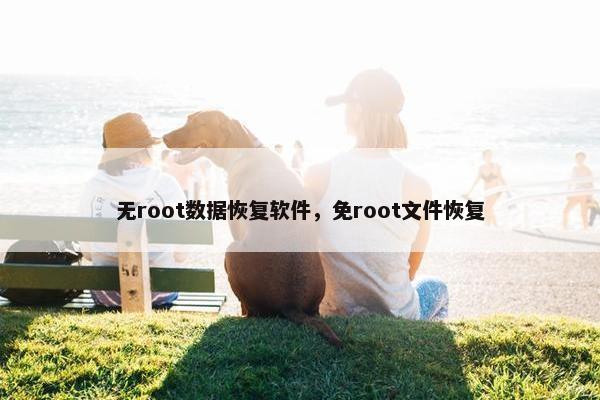 无root数据恢复软件，免root文件恢复