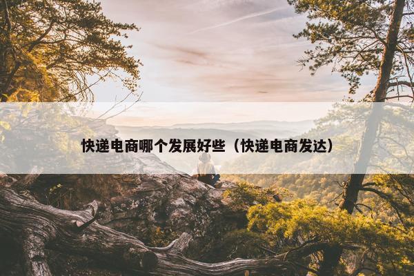 快递电商哪个发展好些（快递电商发达）