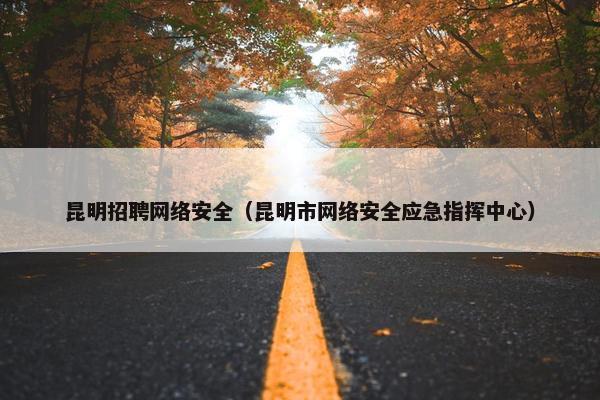 昆明招聘网络安全（昆明市网络安全应急指挥中心）