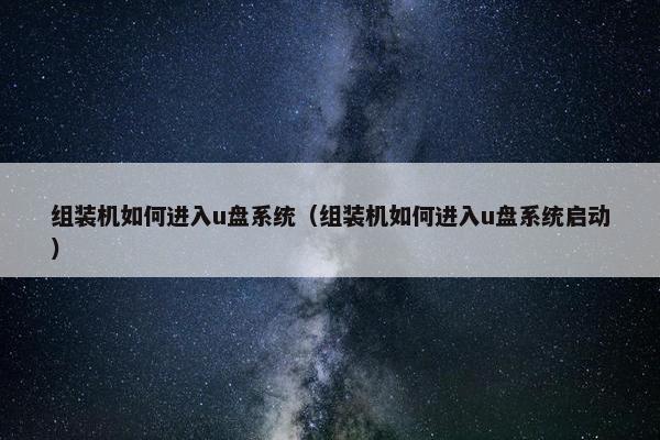 组装机如何进入u盘系统（组装机如何进入u盘系统启动）