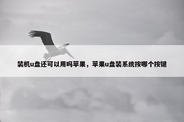 装机u盘还可以用吗苹果，苹果u盘装系统按哪个按键