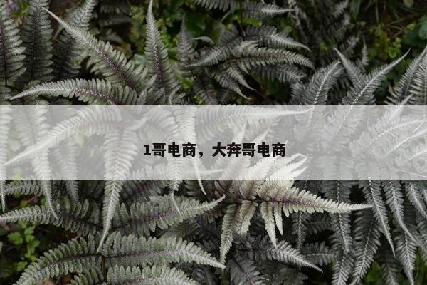 1哥电商，大奔哥电商