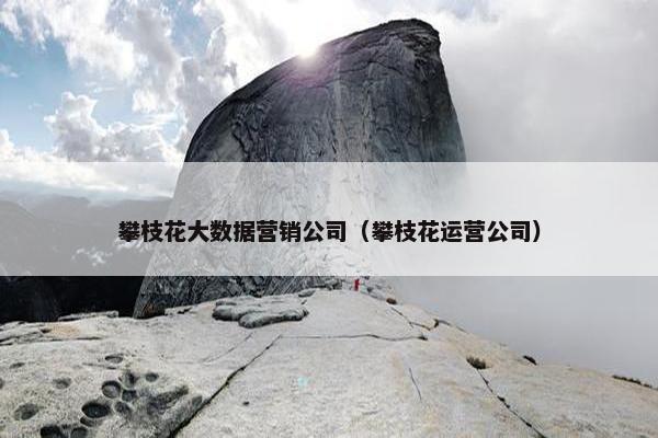 攀枝花大数据营销公司（攀枝花运营公司）