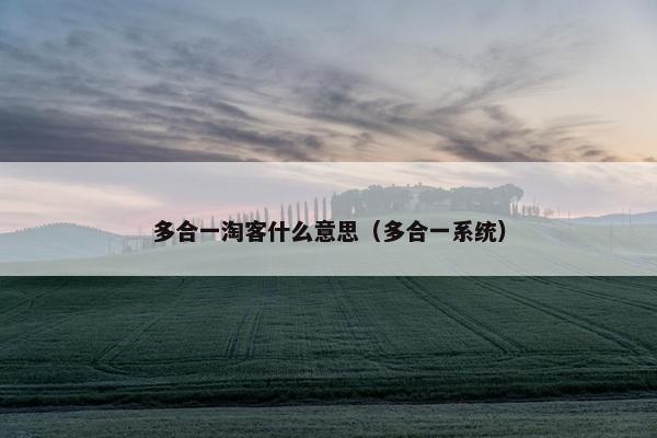 多合一淘客什么意思（多合一系统）