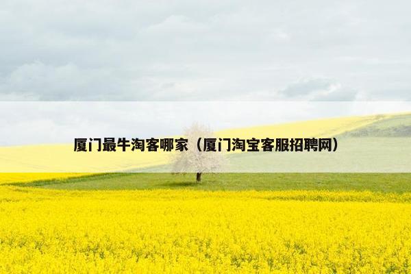 厦门最牛淘客哪家（厦门淘宝客服招聘网）