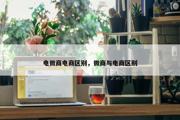 电微商电商区别，微商与电商区别