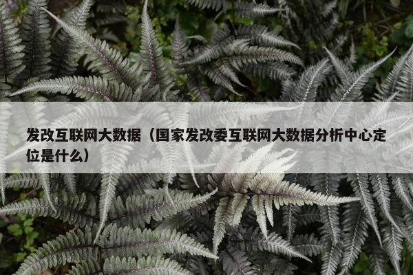 发改互联网大数据（国家发改委互联网大数据分析中心定位是什么）