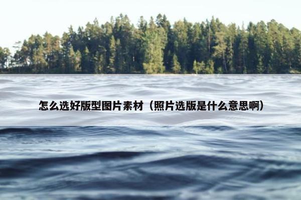怎么选好版型图片素材（照片选版是什么意思啊）