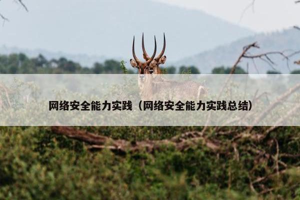 网络安全能力实践（网络安全能力实践总结）