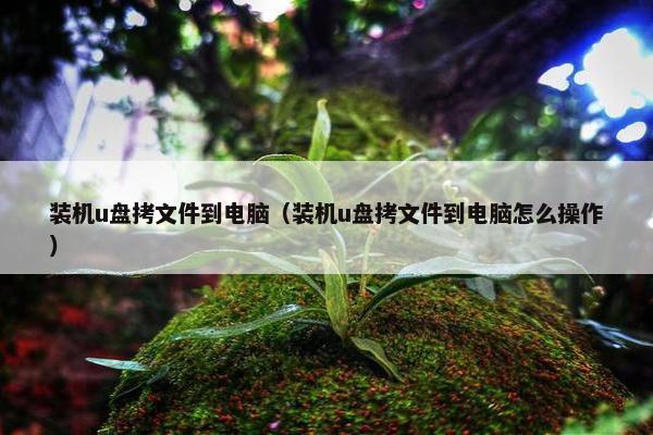 装机u盘拷文件到电脑（装机u盘拷文件到电脑怎么操作）