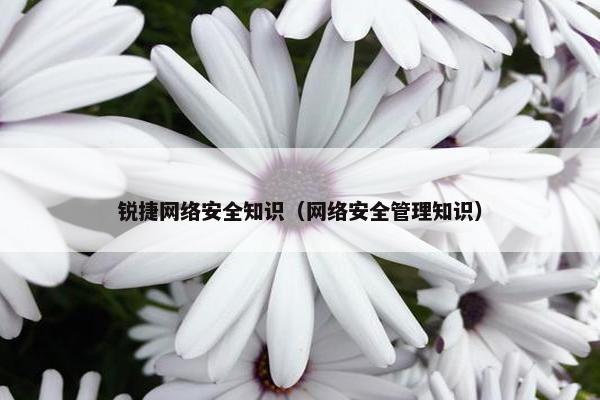 锐捷网络安全知识（网络安全管理知识）