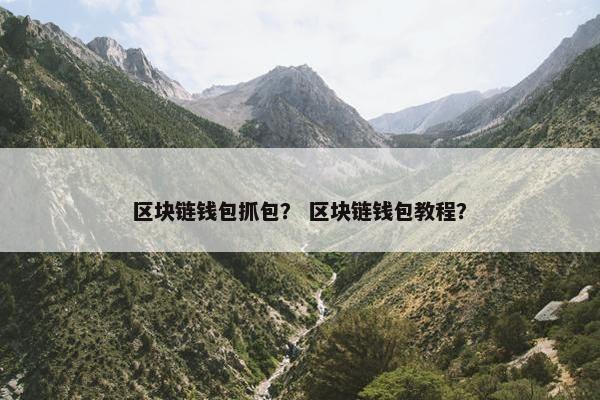 区块链钱包抓包？ 区块链钱包教程？