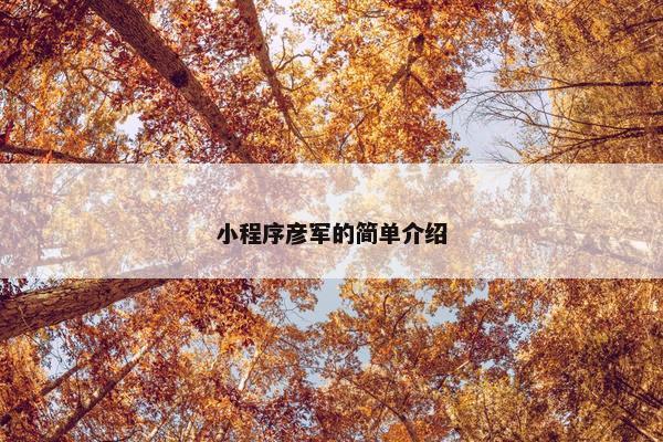 小程序彦军的简单介绍
