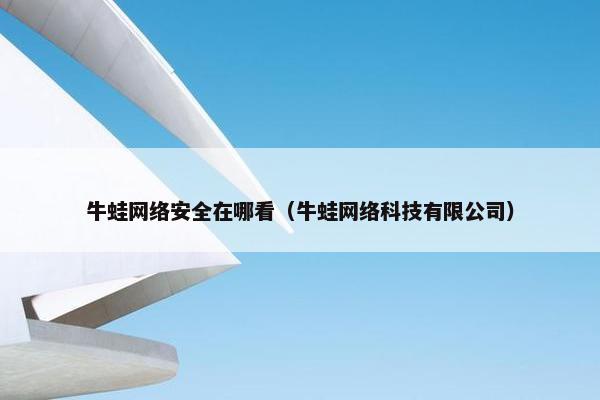 牛蛙网络安全在哪看（牛蛙网络科技有限公司）