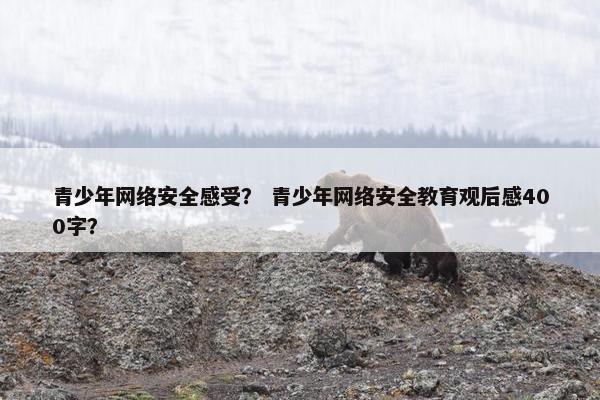 青少年网络安全感受？ 青少年网络安全教育观后感400字？