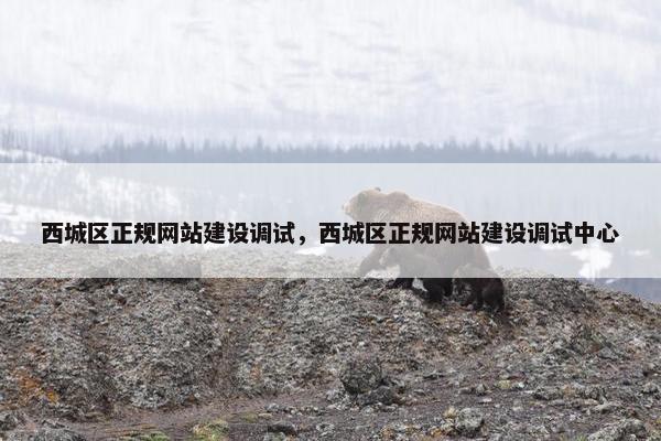 西城区正规网站建设调试，西城区正规网站建设调试中心