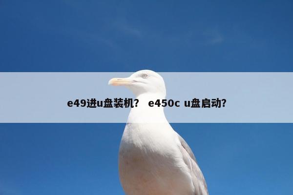 e49进u盘装机？ e450c u盘启动？