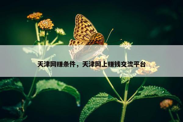 天津网赚条件，天津网上赚钱交流平台