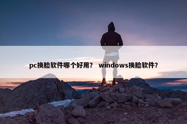 pc换脸软件哪个好用？ windows换脸软件？