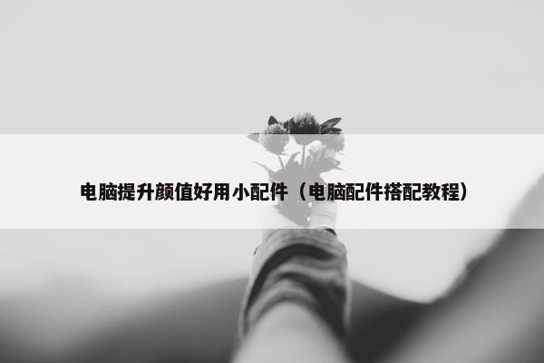 电脑提升颜值好用小配件（电脑配件搭配教程）