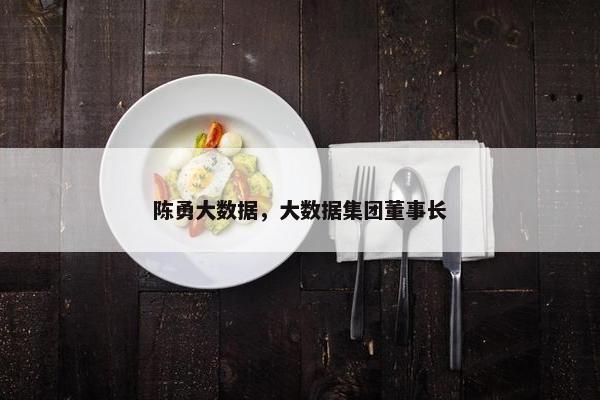 陈勇大数据，大数据集团董事长
